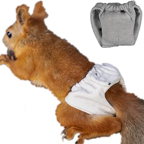 squirrel diaper